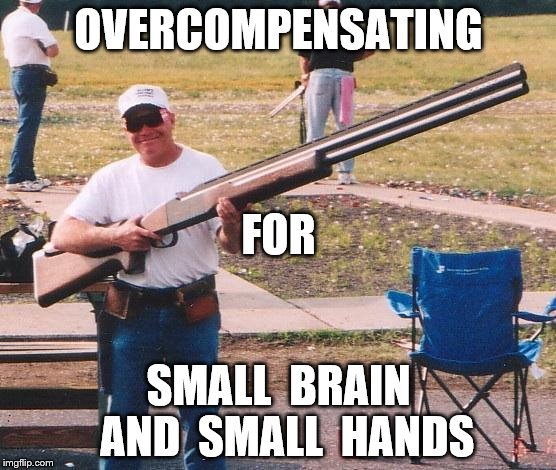 Big gun | OVERCOMPENSATING; FOR; SMALL  BRAIN  AND  SMALL  HANDS | image tagged in big gun | made w/ Imgflip meme maker