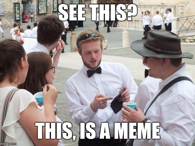 See this...? | SEE THIS? THIS, IS A MEME | image tagged in if you look at it like this,see this,memes,thatbritishviolaguy | made w/ Imgflip meme maker