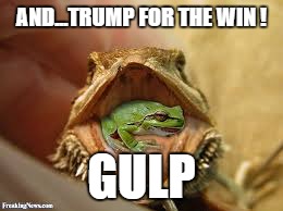 AND...TRUMP FOR THE WIN ! GULP | made w/ Imgflip meme maker