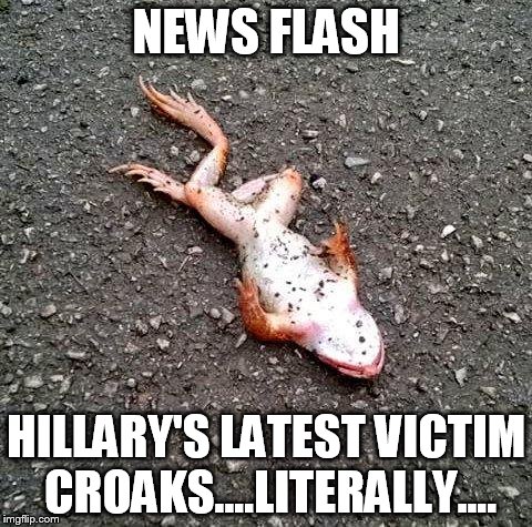 NEWS FLASH; HILLARY'S LATEST VICTIM CROAKS....LITERALLY.... | image tagged in concrete frog | made w/ Imgflip meme maker