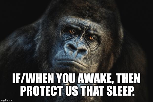 gorilla thinking of you | IF/WHEN YOU AWAKE, THEN PROTECT US THAT SLEEP. | image tagged in gorilla thinking of you | made w/ Imgflip meme maker