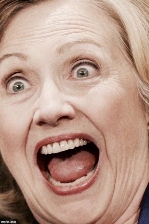 Hilllary | HILLARY IS A MEGA-B**CH. | image tagged in hilllary | made w/ Imgflip meme maker
