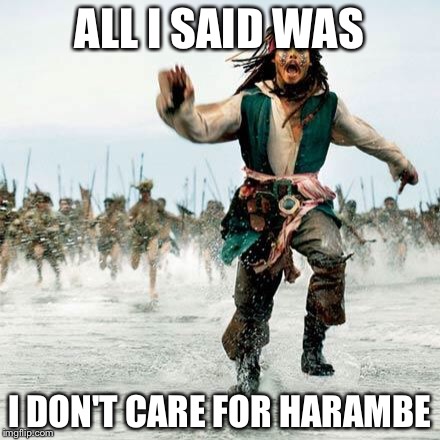Captain Jack Sparrow | ALL I SAID WAS; I DON'T CARE FOR HARAMBE | image tagged in captain jack sparrow | made w/ Imgflip meme maker