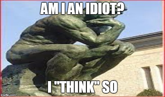 The thinker statue is an idiot. | AM I AN IDIOT? I "THINK" SO | image tagged in meme | made w/ Imgflip meme maker