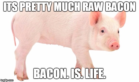 PIG BACON!!! | ITS PRETTY MUCH RAW BACON; BACON. IS. LIFE. | image tagged in funny meme | made w/ Imgflip meme maker