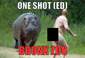 Hippo vs. Naked Guy | ONE SHOT (ED); BRONX ZOO | image tagged in hippo vs naked guy | made w/ Imgflip meme maker