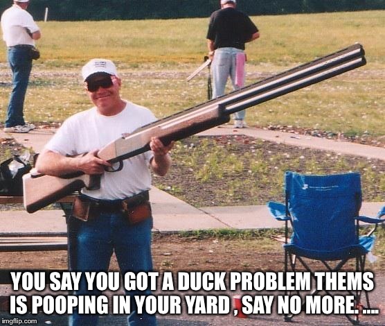 Big gun | YOU SAY YOU GOT A DUCK PROBLEM THEMS IS POOPING IN YOUR YARD , SAY NO MORE. .... | image tagged in big gun | made w/ Imgflip meme maker