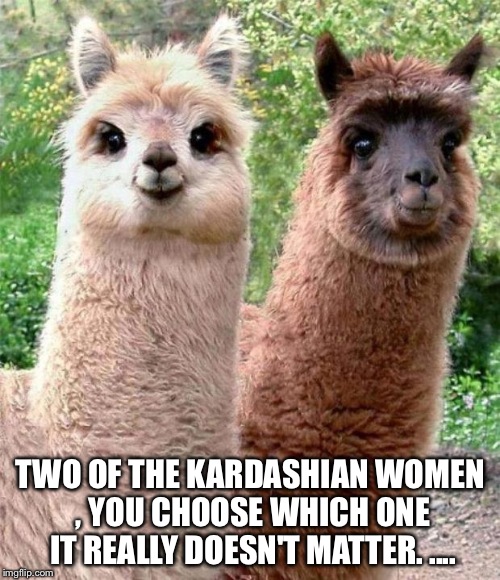 Happy Birthday Llama | TWO OF THE KARDASHIAN WOMEN , YOU CHOOSE WHICH ONE IT REALLY DOESN'T MATTER. .... | image tagged in happy birthday llama | made w/ Imgflip meme maker