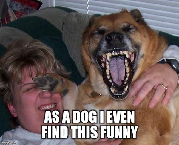 laughing dog | AS A DOG I EVEN FIND THIS FUNNY | image tagged in laughing dog | made w/ Imgflip meme maker