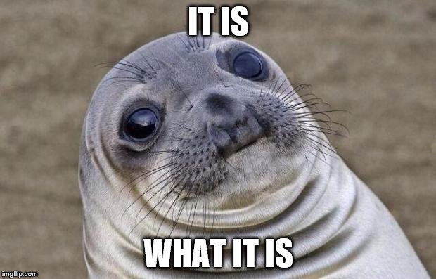 Awkward Moment Sealion | IT IS; WHAT IT IS | image tagged in memes,awkward moment sealion | made w/ Imgflip meme maker