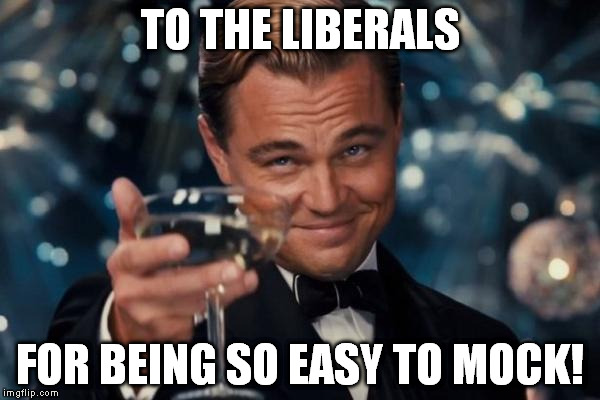 But I'm sure they SAY the same | TO THE LIBERALS; FOR BEING SO EASY TO MOCK! | image tagged in memes,leonardo dicaprio cheers,liberals,biased media | made w/ Imgflip meme maker