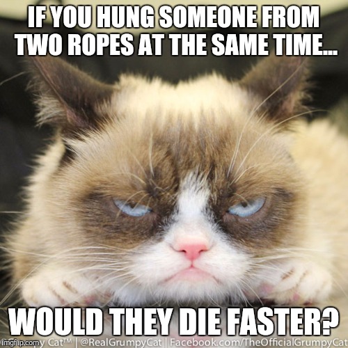 Grumpy Cat's Dark Ponderings... | IF YOU HUNG SOMEONE FROM TWO ROPES AT THE SAME TIME... WOULD THEY DIE FASTER? | image tagged in grumpy cat,funny,cats,dark humor,philosophy | made w/ Imgflip meme maker