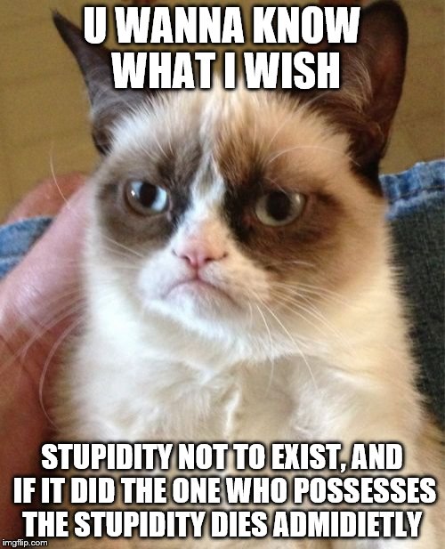 Grumpy Cat Meme | U WANNA KNOW WHAT I WISH STUPIDITY NOT TO EXIST, AND IF IT DID THE ONE WHO POSSESSES THE STUPIDITY DIES ADMIDIETLY | image tagged in memes,grumpy cat | made w/ Imgflip meme maker