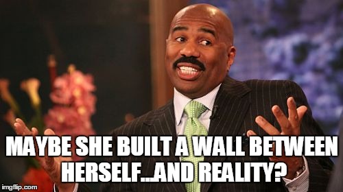 Steve Harvey Meme | MAYBE SHE BUILT A WALL BETWEEN HERSELF...AND REALITY? | image tagged in memes,steve harvey | made w/ Imgflip meme maker