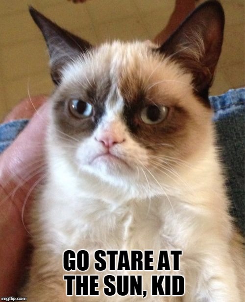Grumpy Cat Meme | GO STARE AT THE SUN, KID | image tagged in memes,grumpy cat | made w/ Imgflip meme maker