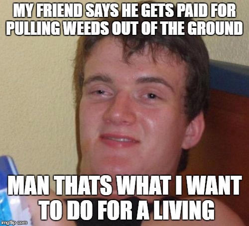 10 Guy | MY FRIEND SAYS HE GETS PAID FOR PULLING WEEDS OUT OF THE GROUND; MAN THATS WHAT I WANT TO DO FOR A LIVING | image tagged in memes,10 guy | made w/ Imgflip meme maker