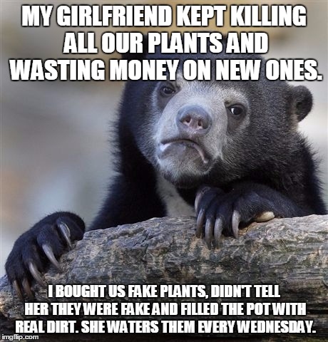 Confession Bear Meme | MY GIRLFRIEND KEPT KILLING ALL OUR PLANTS AND WASTING MONEY ON NEW ONES. I BOUGHT US FAKE PLANTS, DIDN'T TELL HER THEY WERE FAKE AND FILLED THE POT WITH REAL DIRT. SHE WATERS THEM EVERY WEDNESDAY. | image tagged in memes,confession bear | made w/ Imgflip meme maker