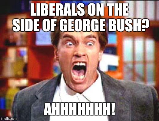 LIBERALS ON THE SIDE OF GEORGE BUSH? AHHHHHHH! | made w/ Imgflip meme maker