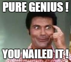 PURE GENIUS ! YOU NAILED IT ! | made w/ Imgflip meme maker