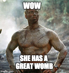 This how Arnold came out | WOW; SHE HAS A GREAT WOMB | image tagged in memes,predator | made w/ Imgflip meme maker