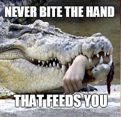 NEVER BITE THE HAND THAT FEEDS YOU | made w/ Imgflip meme maker