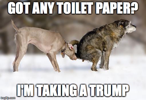 dogsniff | GOT ANY TOILET PAPER? I'M TAKING A TRUMP | image tagged in dogsniff | made w/ Imgflip meme maker
