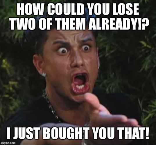 Pauly | HOW COULD YOU LOSE TWO OF THEM ALREADY!? I JUST BOUGHT YOU THAT! | image tagged in pauly | made w/ Imgflip meme maker