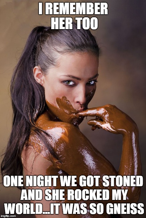 I REMEMBER HER TOO ONE NIGHT WE GOT STONED AND SHE ROCKED MY WORLD...IT WAS SO GNEISS | image tagged in you had me at | made w/ Imgflip meme maker