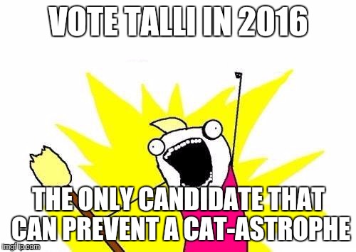 X All The Y Meme | VOTE TALLI IN 2016 THE ONLY CANDIDATE THAT CAN PREVENT A CAT-ASTROPHE | image tagged in memes,x all the y | made w/ Imgflip meme maker