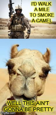 Lost in the desert of my mind | I'D WALK A MILE TO SMOKE A CAMEL; WELL THIS AIN'T GONNA BE PRETTY | image tagged in memes,camel,soldier | made w/ Imgflip meme maker