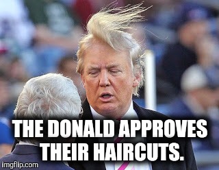 Asshole businessnan | THE DONALD APPROVES THEIR HAIRCUTS. | image tagged in asshole businessnan | made w/ Imgflip meme maker