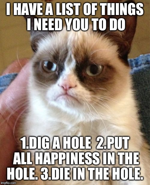 Grumpy Cat Meme | I HAVE A LIST OF THINGS I NEED YOU TO DO; 1.DIG A HOLE 
2.PUT ALL HAPPINESS IN THE HOLE.
3.DIE IN THE HOLE. | image tagged in memes,grumpy cat | made w/ Imgflip meme maker