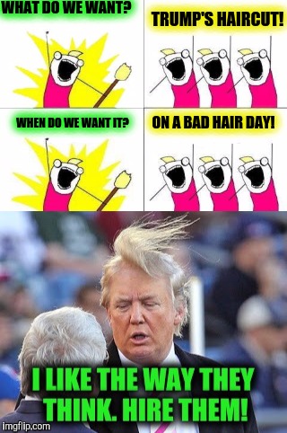 Am I the only one to notice this? | WHAT DO WE WANT? TRUMP'S HAIRCUT! WHEN DO WE WANT IT? ON A BAD HAIR DAY! | image tagged in what do we want,bad haircut,donald trump | made w/ Imgflip meme maker