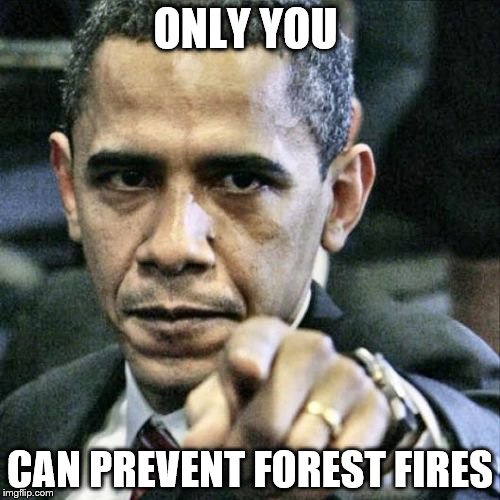 Pissed Off Obama | ONLY YOU; CAN PREVENT FOREST FIRES | image tagged in memes,pissed off obama | made w/ Imgflip meme maker