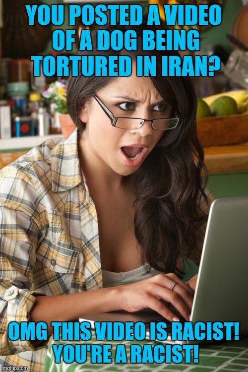 This literally happened on a friend's fb post. PC culture for you. | YOU POSTED A VIDEO OF A DOG BEING TORTURED IN IRAN? OMG THIS VIDEO IS RACIST! YOU'RE A RACIST! | image tagged in offended | made w/ Imgflip meme maker