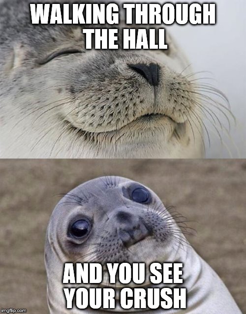 Short Satisfaction VS Truth Meme | WALKING THROUGH THE HALL; AND YOU SEE YOUR CRUSH | image tagged in memes,short satisfaction vs truth | made w/ Imgflip meme maker