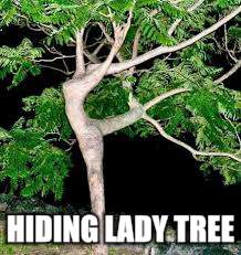 HIDING LADY TREE | made w/ Imgflip meme maker