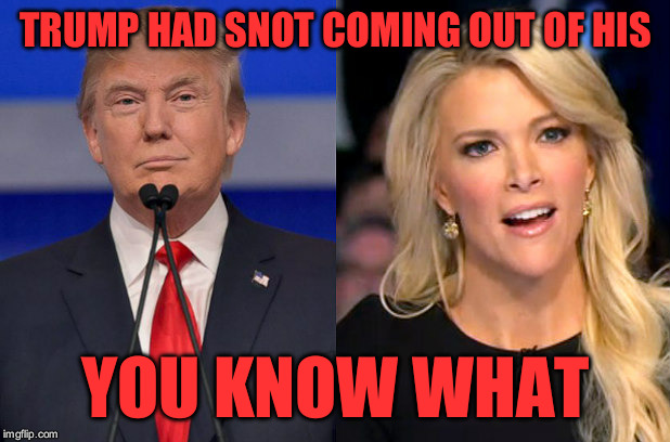 Megyn Vs. Trump | TRUMP HAD SNOT COMING OUT OF HIS; YOU KNOW WHAT | image tagged in megyn vs trump | made w/ Imgflip meme maker