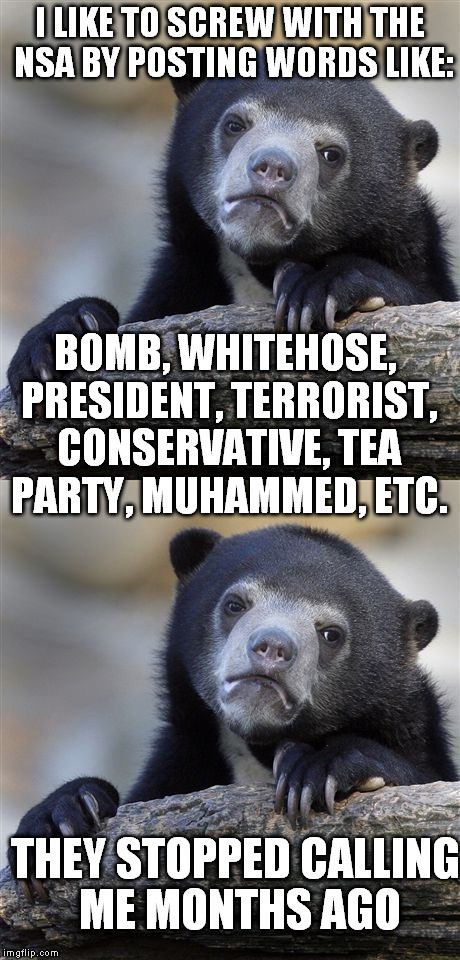 I LIKE TO SCREW WITH THE NSA BY POSTING WORDS LIKE: BOMB, WHITEHOSE, PRESIDENT, TERRORIST, CONSERVATIVE, TEA PARTY, MUHAMMED, ETC. THEY STOP | made w/ Imgflip meme maker