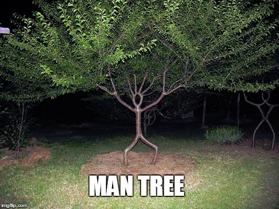 MAN TREE | made w/ Imgflip meme maker
