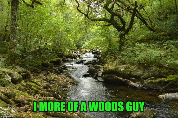 I MORE OF A WOODS GUY | made w/ Imgflip meme maker