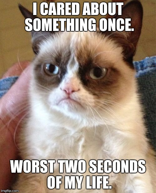 Grumpy Cat Meme | I CARED ABOUT SOMETHING ONCE. WORST TWO SECONDS OF MY LIFE. | image tagged in memes,grumpy cat | made w/ Imgflip meme maker