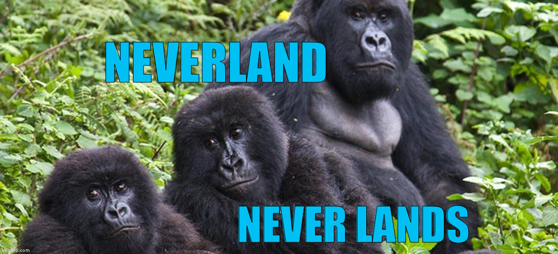 NEVERLAND NEVER LANDS | made w/ Imgflip meme maker