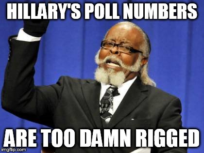 Too Damn High | HILLARY'S POLL NUMBERS; ARE TOO DAMN RIGGED | image tagged in memes,too damn high | made w/ Imgflip meme maker