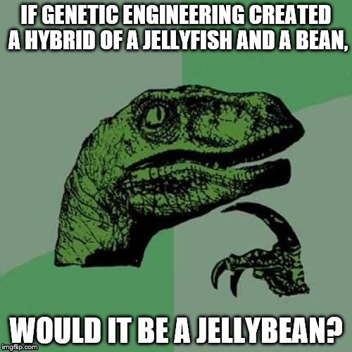 Philosoraptor Meme | IF GENETIC ENGINEERING CREATED A HYBRID OF A JELLYFISH AND A BEAN, WOULD IT BE A JELLYBEAN? | image tagged in memes,philosoraptor | made w/ Imgflip meme maker