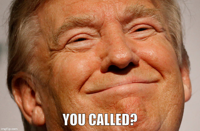 Trump Smile | YOU CALLED? | image tagged in trump smile | made w/ Imgflip meme maker