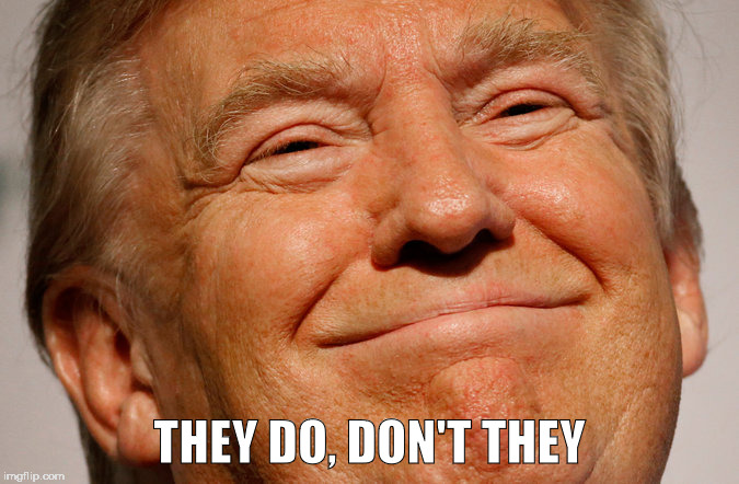 Trump Smile | THEY DO, DON'T THEY | image tagged in trump smile | made w/ Imgflip meme maker