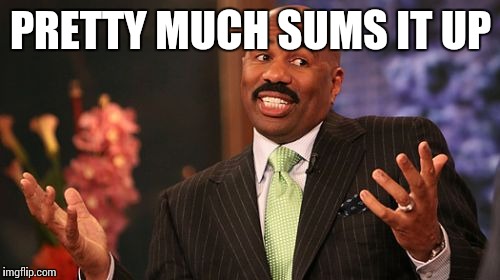 Steve Harvey Meme | PRETTY MUCH SUMS IT UP | image tagged in memes,steve harvey | made w/ Imgflip meme maker