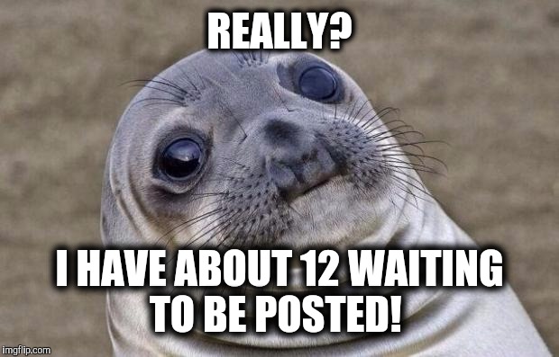 Awkward Moment Sealion Meme | REALLY? I HAVE ABOUT 12 WAITING TO BE POSTED! | image tagged in memes,awkward moment sealion | made w/ Imgflip meme maker