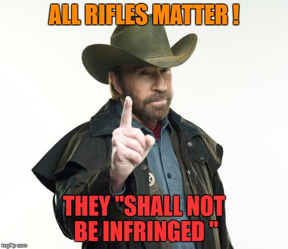 ALL RIFLES MATTER ! THEY "SHALL NOT BE INFRINGED " | made w/ Imgflip meme maker